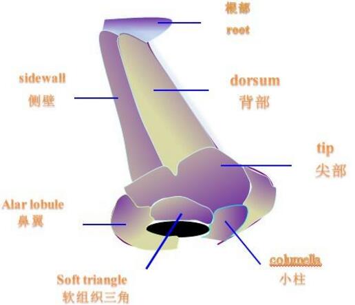 深圳全鼻整形的效果好不好