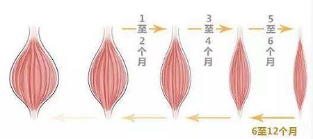 瘦臉間隔多久打一次