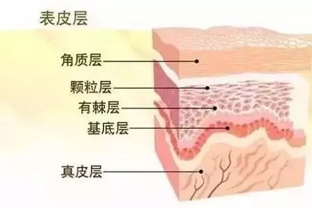 韓式半持久