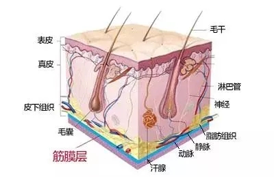 沒有誰能永遠年輕，不老都是保養的早！