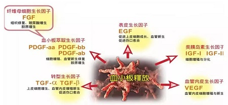 美萊prp自體基因再生療法