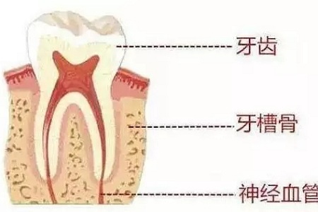 做牙齒矯正 ，真的要趁早！