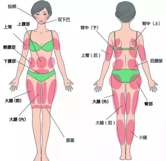 讓明星“一夜回春”的自體脂肪到底適不適合你？