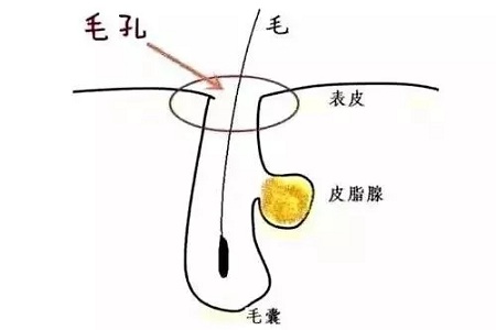 如何在炎熱的夏天，做清爽白凈的小姐姐？