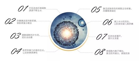 解密抗衰秘籍——中胚層療法