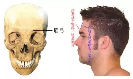 想要歐式大眼，一定要注意與這個部位協調！